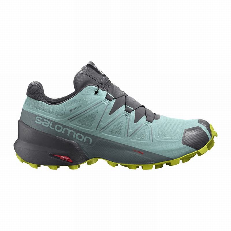 Chaussures De Trail Running Salomon Femme Turquoise / Grise Foncé - Salomon SPEEDCROSS 5 GORE-TEX -